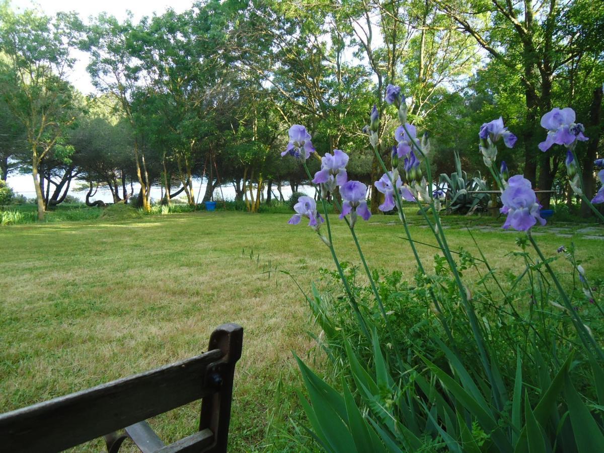 Au Bord De Thau Bed & Breakfast Marseillan  Eksteriør bilde