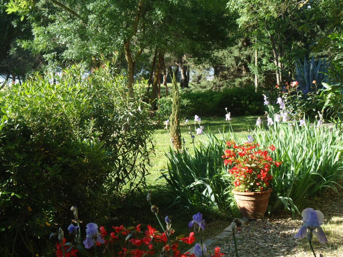 Au Bord De Thau Bed & Breakfast Marseillan  Eksteriør bilde