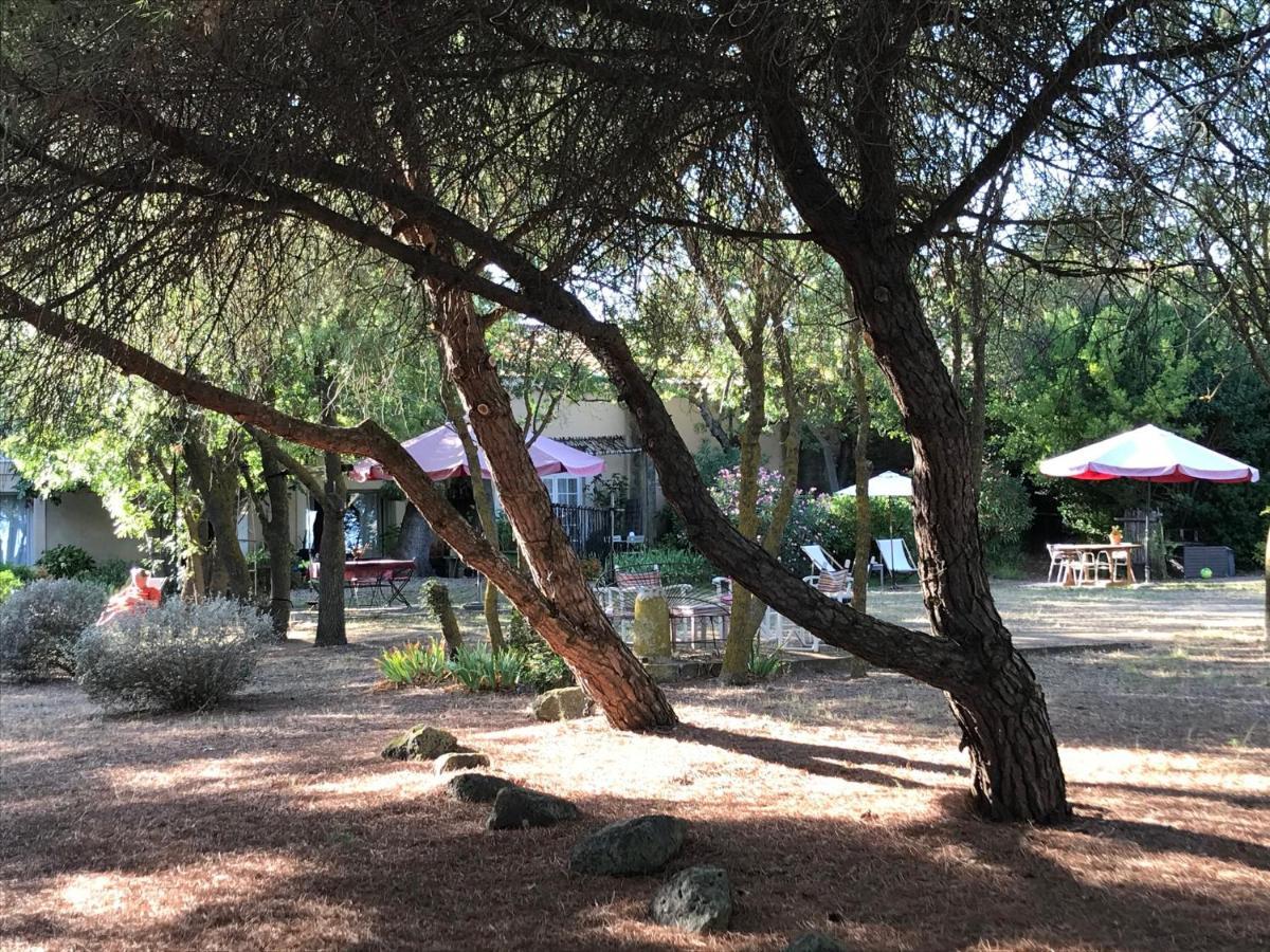 Au Bord De Thau Bed & Breakfast Marseillan  Eksteriør bilde
