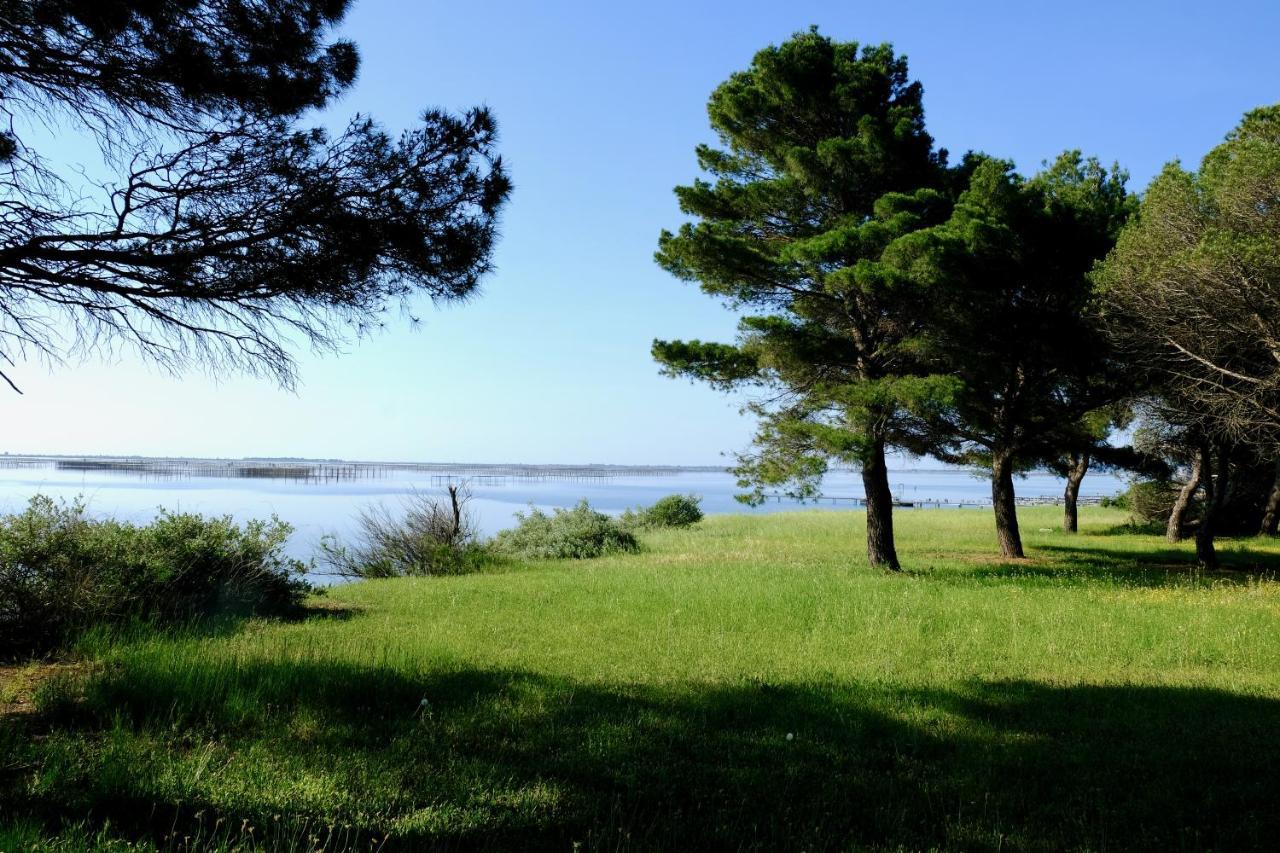 Au Bord De Thau Bed & Breakfast Marseillan  Eksteriør bilde